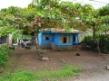 4Arenal.jpg