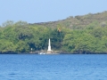 Cook monument