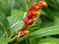 Hilo, Big Island