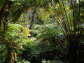 Vulcano National Park, Big Island