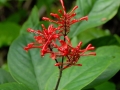Hilo, Big Island