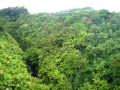 Hilo, Big Island