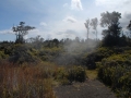 Vulcano National Park, Big Island