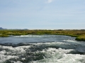 Ved Myvatn