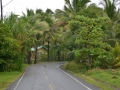 Bocas del Toro