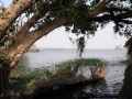 chobe-floden ved Kasane