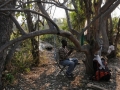 lejren11, okavango