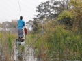 mokorosejlads i okavango11