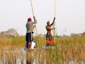 mokorosejlads i okavango17