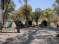 moremi-camp1