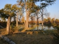 moremi28