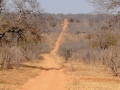 on the road i chobe3