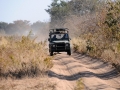 on the road3, savuti
