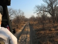 on the road7, chobe