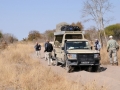 savuti1