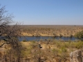 savuti3
