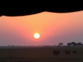 solnedgang1 over elefanter ved chobefloden