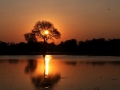 solnedgang2, moremi