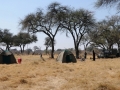 vores teltlejr, moremi-khwai