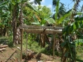 Embera landsby