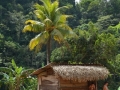 Embera landsby