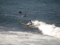 Surfing ved Paia