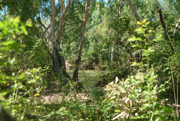 Bushwalk, Kakadu