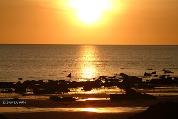 Solnedgang, Darwin