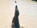 Adelaide river