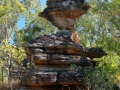 Bushwalk, Kakadu