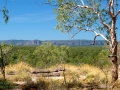Kakadu