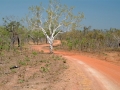 Outback