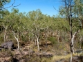 Northern Territory
