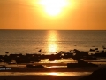 Solnedgang, Darwin