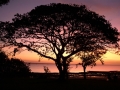 Solnedgang, Darwin