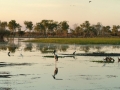 Yellow Water, Kakadu