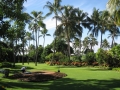 Waikiki