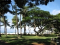 Waikiki