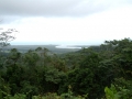 Daintree river