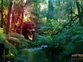 Mount Field NP