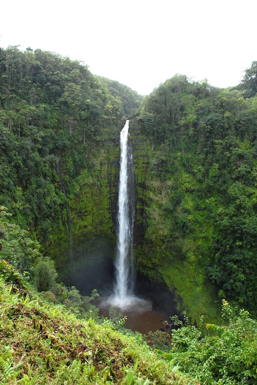 Akaka Falls, hilo, Big Island
