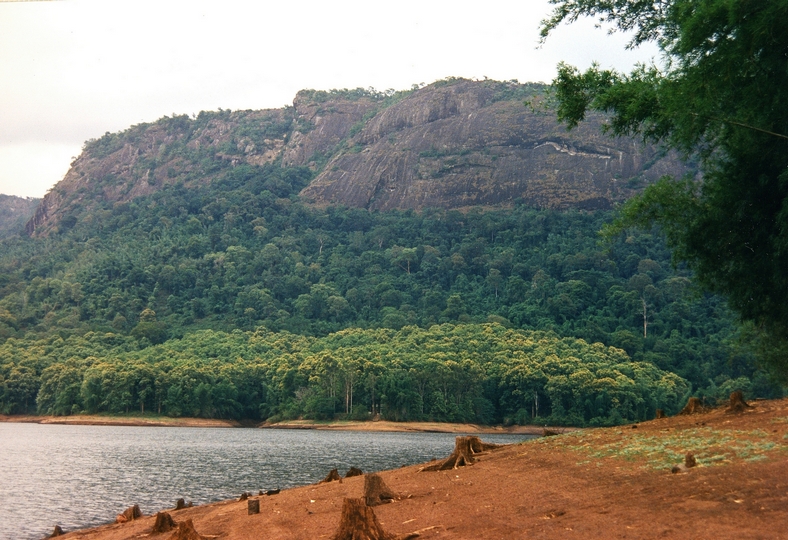 Parambikulam, Kerala