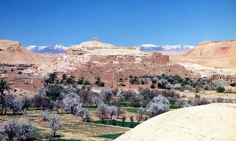 Berberlandsby i Atlasbjergene. Mandeltræerne blomstrer