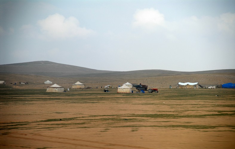 Beduiner, syriske ørken